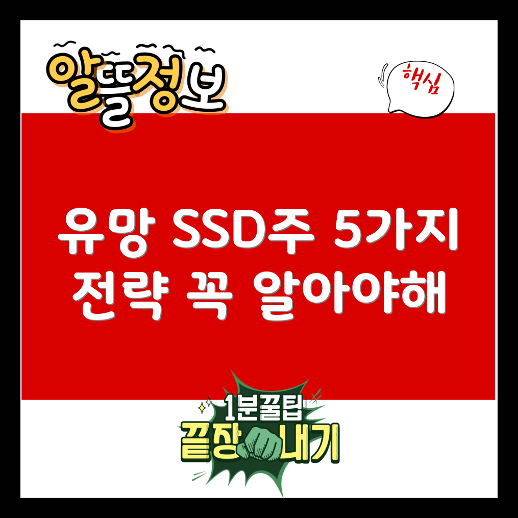 유망한 SSD 관련주 5가지 투자 전략