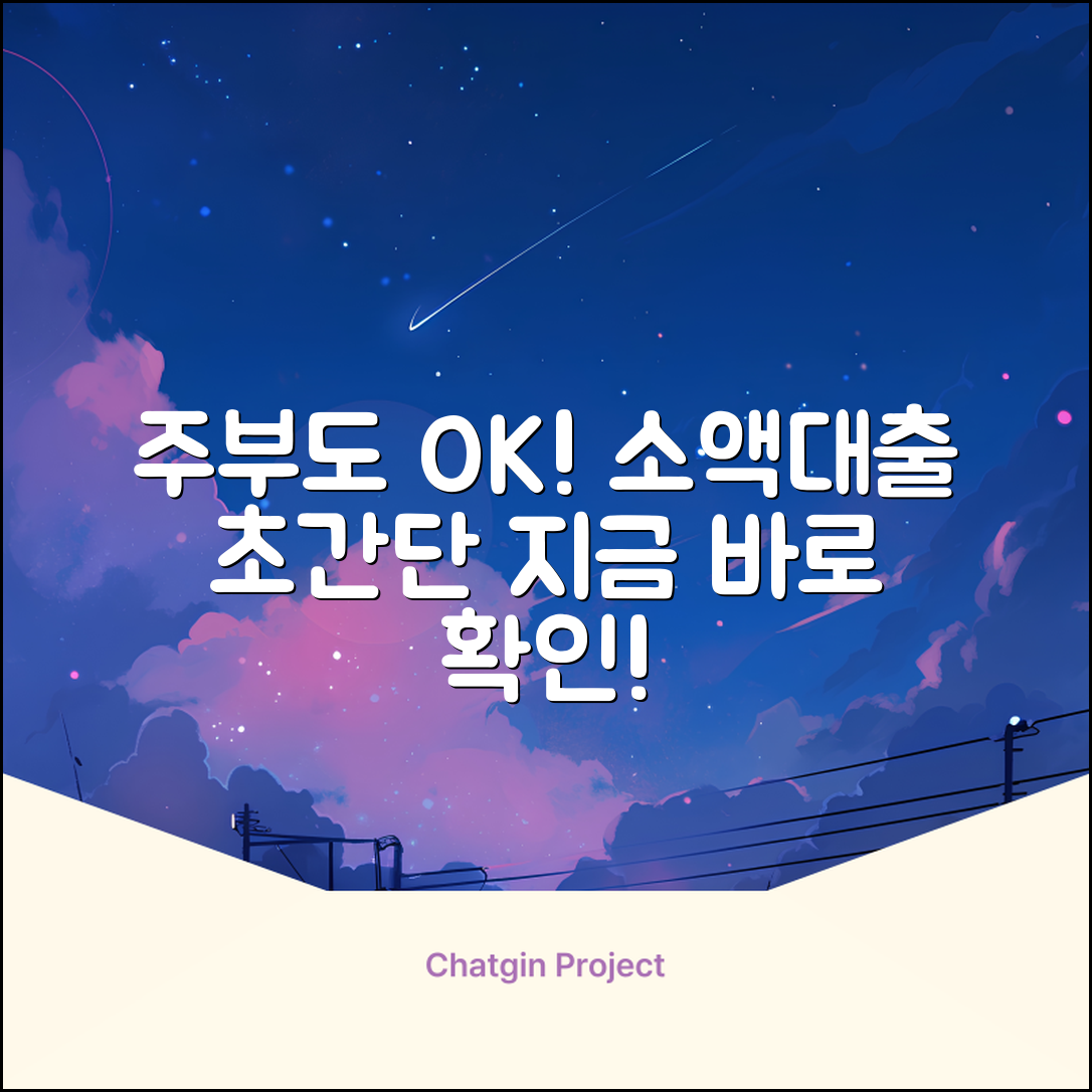 주부소액대출, 누구나 OK! 초간단 방법