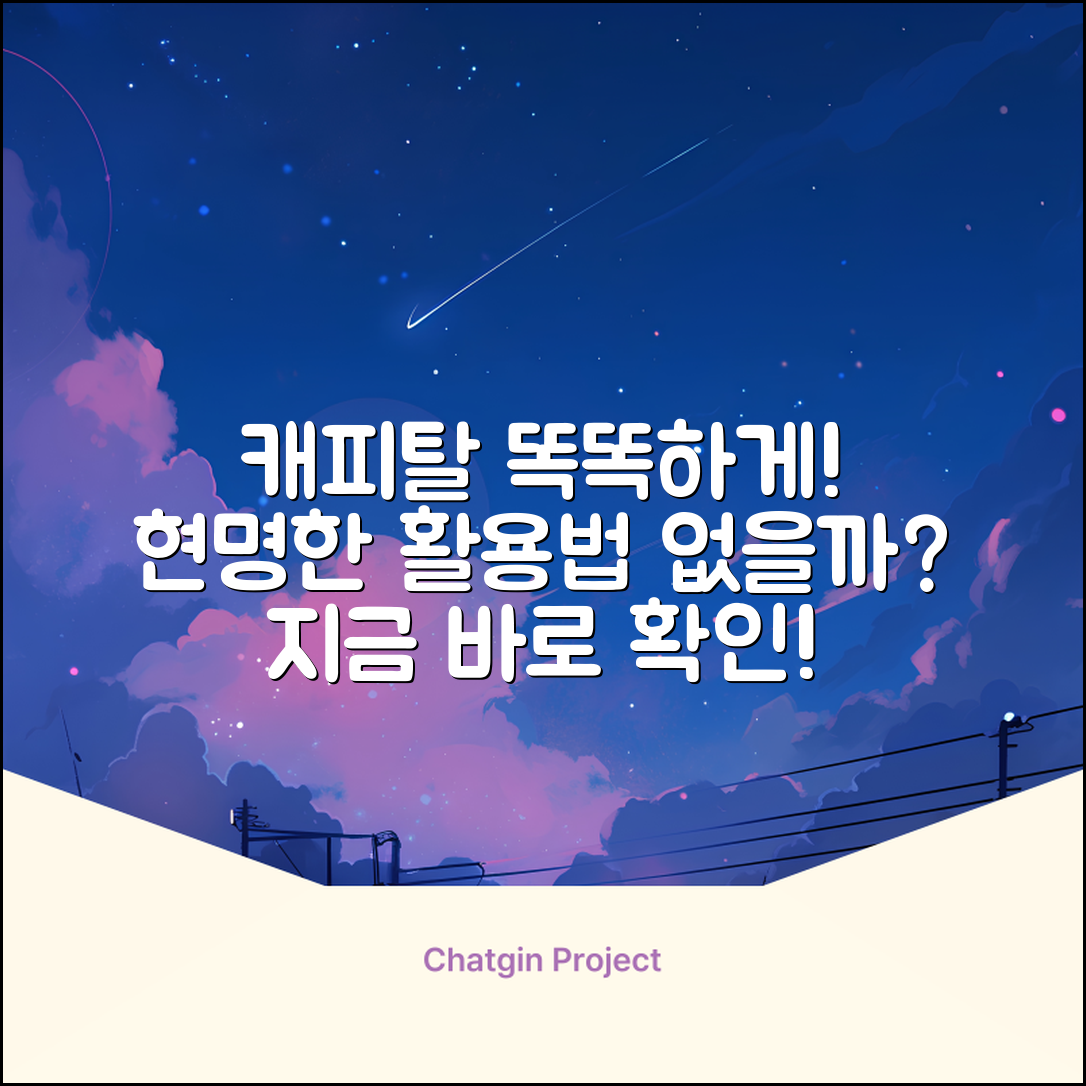 캐피탈, 현명하게 활용하는 법은 없을까?
