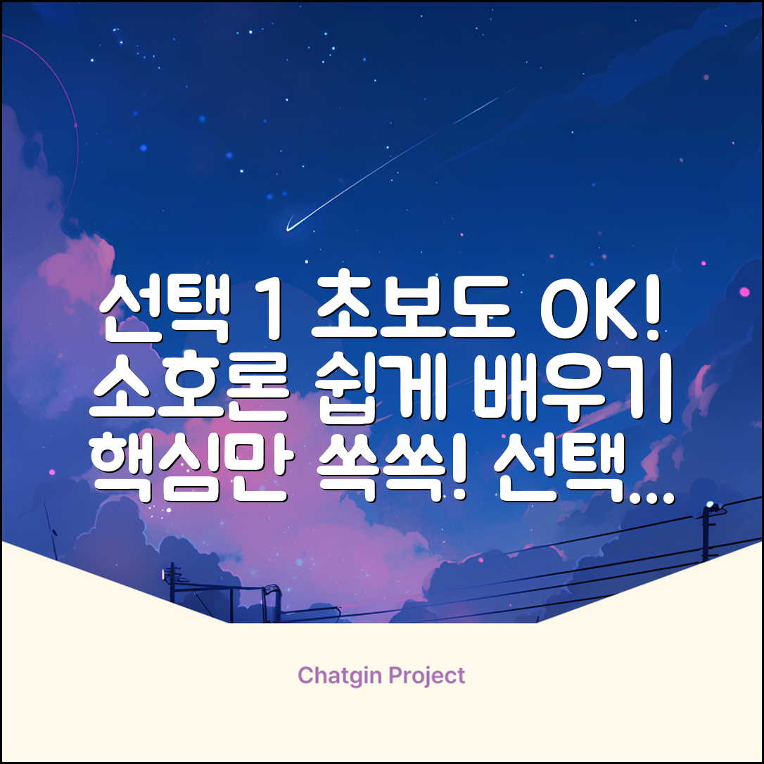 초보자를 위한 쉽게 배우는 소호론