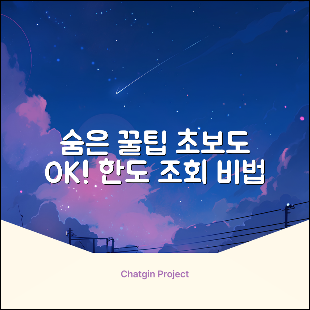 초보도 쉽게! 숨은 한도 조회 꿀팁🍯