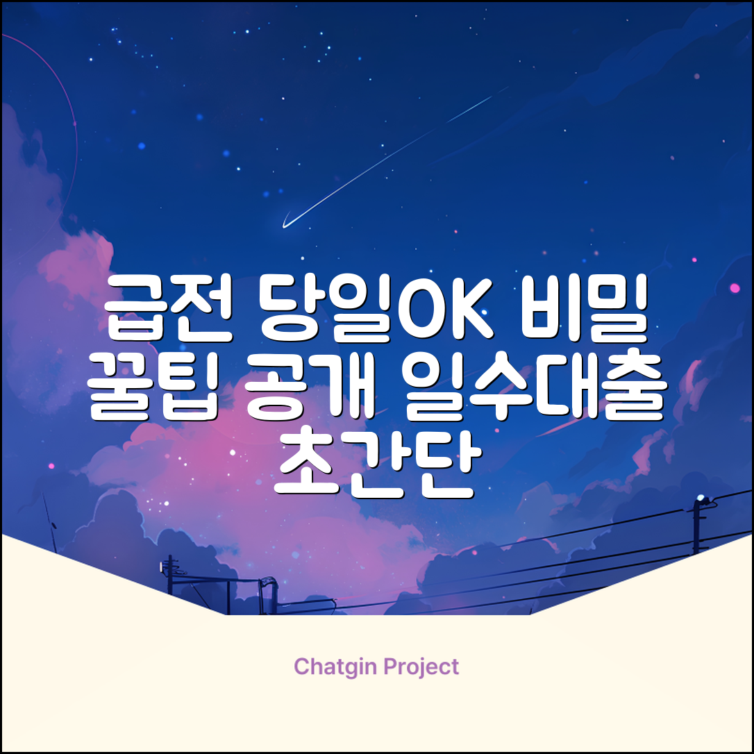 ⚡️당일일수대출⚡️ 급할 때 딱! 비밀 꿀팁