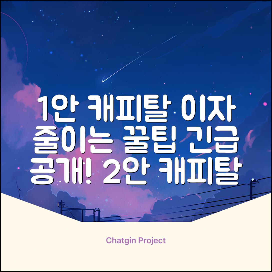 캐피탈이자, 줄이는 꿀팁이 있을까?