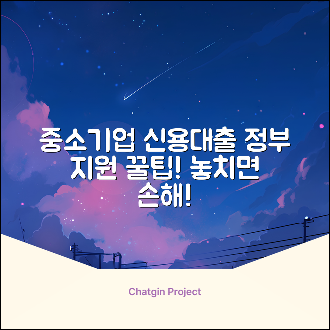 중소기업신용대출: 숨겨진 정부 지원 활용법