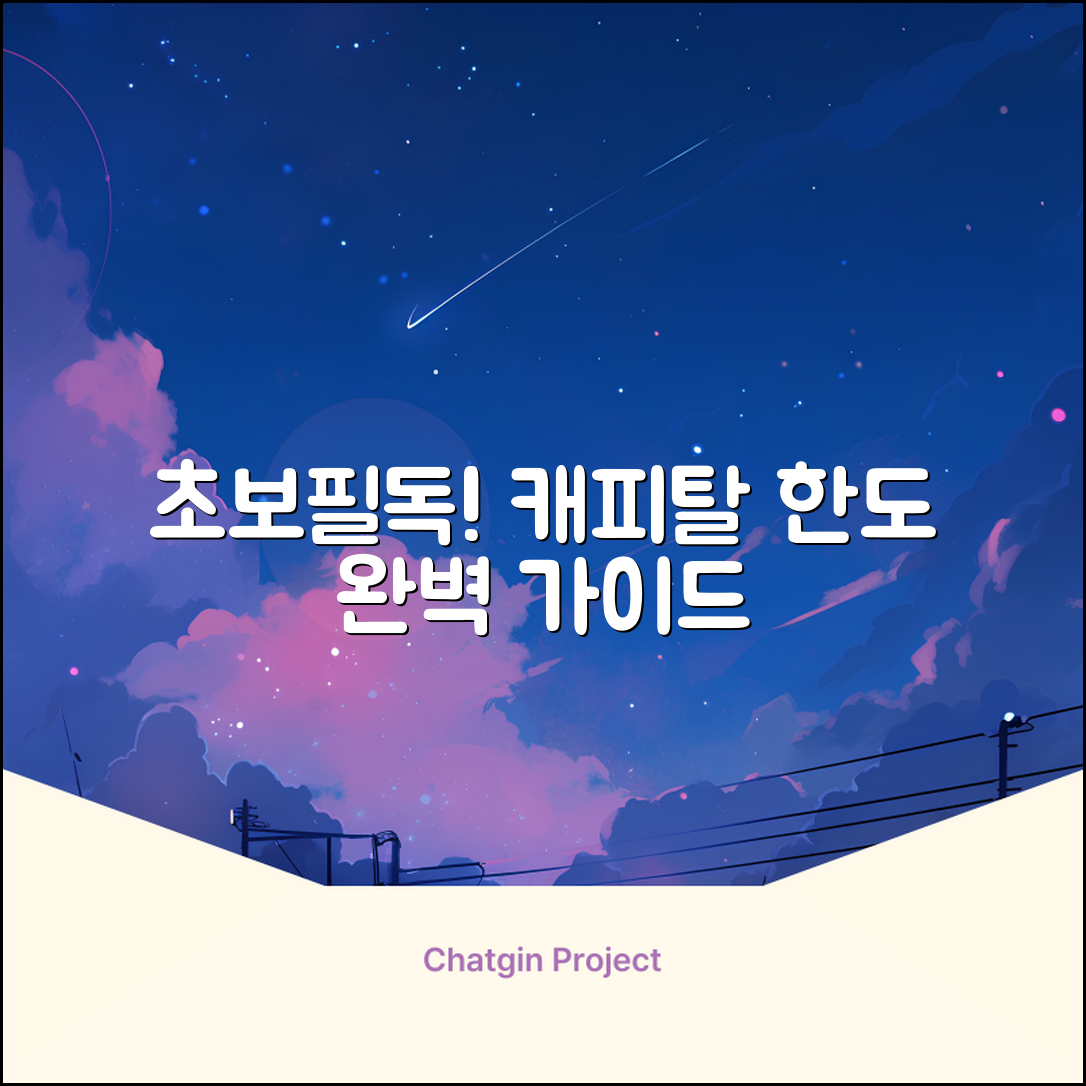 초보도 쉽게! 캐피탈 한도 완벽 가이드